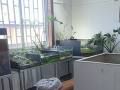 -灵龟之家百象馆(百象馆联合旗舰店)