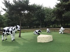 -长春公园(普阳街道)