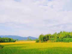 -良渚古城遗址公园