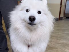 -美联众合动物医院·24h转诊中心