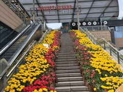 -外婆家(西溪印象城店)