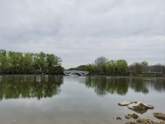 -大兴滨河森林公园