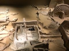 -洛阳周王城天子驾六博物馆