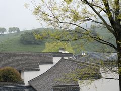 -帐篷客·溪龙茶谷度假酒店