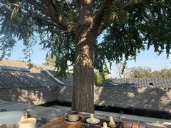 -自如ZSPACE四合院艺术餐厅