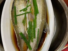 清蒸鱼-丹水桥地锅鱼·翘嘴鲌·地方特色全鱼宴(丹江口大坝店)