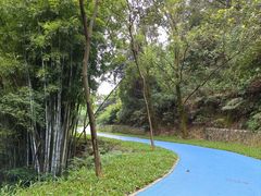 -黄埔油麻山森林公园