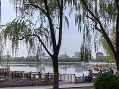 -莲花池公园