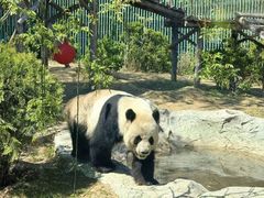 -泉城欧乐堡梦幻世界