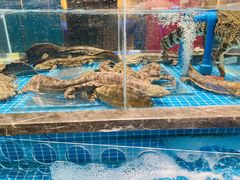 -皇宫大酒店