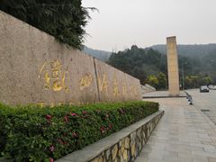 -铁山坪森林公园