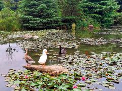 -白马涧龙池景区