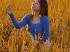 -艾米稻香小镇