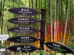 -宁波浙东大竹海景区