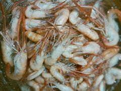 -巢湖名吃·徽府农家菜(半汤店)