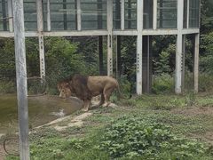 -西安秦岭野生动物园