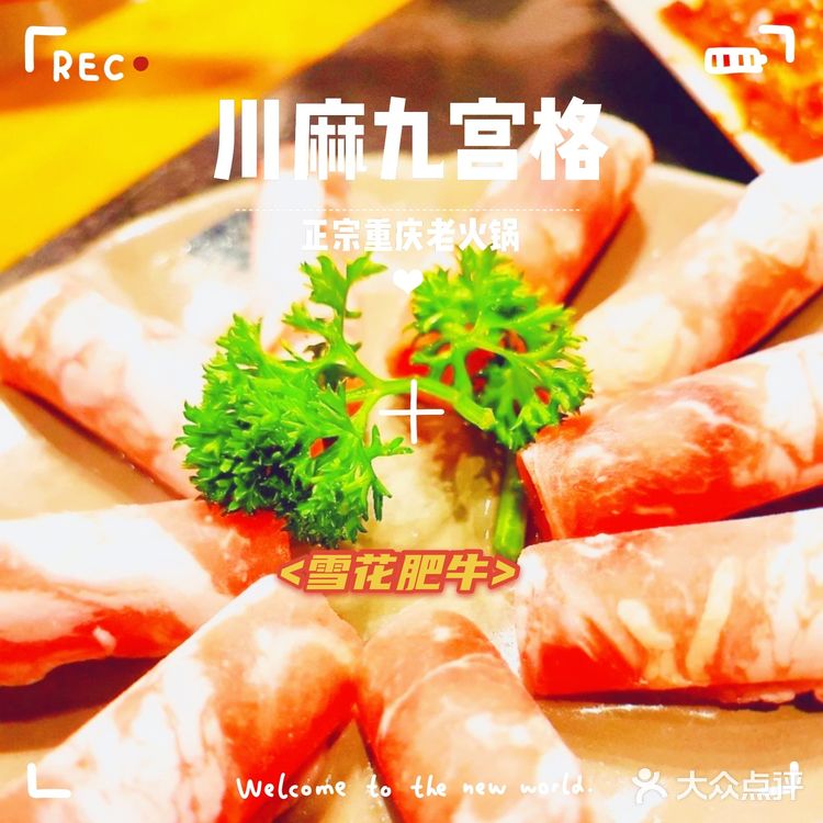 成都美食探店 | 正宗重庆老火锅,九宫格火锅哇噻得不得了!