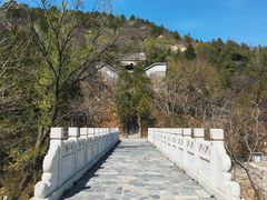 -白水寺森林公园