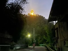 -大金鹰园