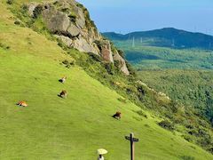 -大姆山草场