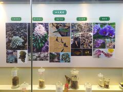 -广东中医药博物馆