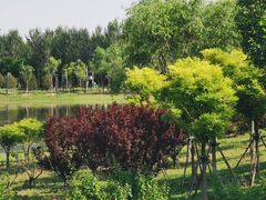 -东郊湿地公园