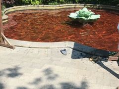 -杭州第一世界大酒店·云曼温泉