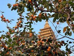 -北京石刻艺术博物馆(五塔寺)
