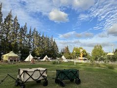 -前小桔亲子创意农场·草莓采摘·露营烧烤