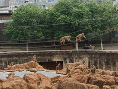 -昆明动物园