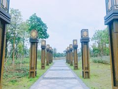 -王借岗森林公园