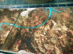-蟹谢蒸鲜自助餐厅