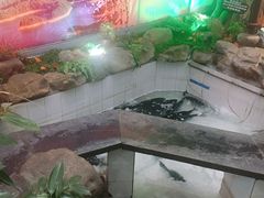 原味豆皮-春盛渔府(牛首山店)