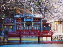 -颐和园