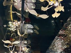 -京悦荟·京沪融合菜(漕河泾印象城店)