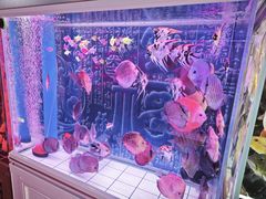 -本溪路花鸟市场(江浦路1709弄小区店)