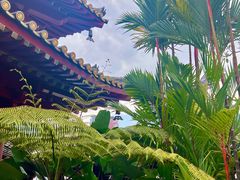 -新加坡佛牙寺龙华院