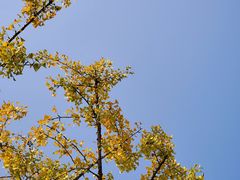 -飞天山旅游区