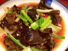 野生小木耳-龙凤瓦罐煨汤馆(清江东路店)