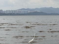 -深圳湾公园(南山区)