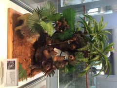 iphone_upload_pic-济州岛泰迪熊博物馆