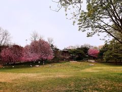 -丰台花园