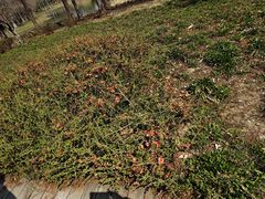 -长广溪湿地公园