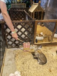 -酷嗒动物文化乐园(cutezoo西溪乐天城店)