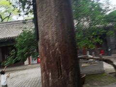 -窦大夫祠