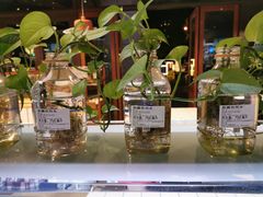 -Dough&Joe团憩(瑞虹天地月亮湾店)