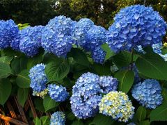 -常州古运河南大街文化旅游区-人民公园