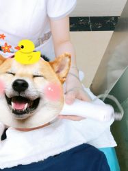-痘博士广州·全国连锁祛痘机构