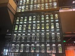 -广东中医药博物馆