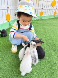 -萌宠亲子动物乐园(槐房万达店)